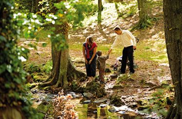 Balades en forêt et randonnées